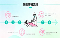 胚胎移植流程 - 安维纳ANVINO