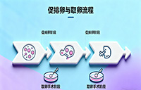 促排 + 取卵流程 - 安维纳ANVINO