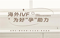 海外试管婴儿的优势与劣势 - 安维纳ANVINO