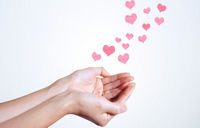 如何选择捐卵者？挑选 Donor 的 12 个关键标准与风险避坑指南 - 安维纳ANVINO