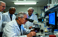 2025最新试管婴儿(IVF)全流程深度解析：从身体检查到成功好孕的七大步骤 - 安维纳ANVINO