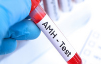 一文看懂性激素六项与AMH报告：你的卵巢“库存”还剩多少？ - 安维纳ANVINO