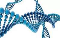 PGT-A vs PGT-M：两种胚胎基因筛查技术的区别、适用人群与费用差异 - 安维纳ANVINO