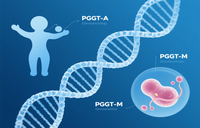 PGT 检测流程全攻略：从取卵、活检到报告解读，一次讲清楚 - 安维纳ANVINO