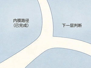 当所有“内膜路径”都走完，下一步该看什么？ - 安维纳ANVINO